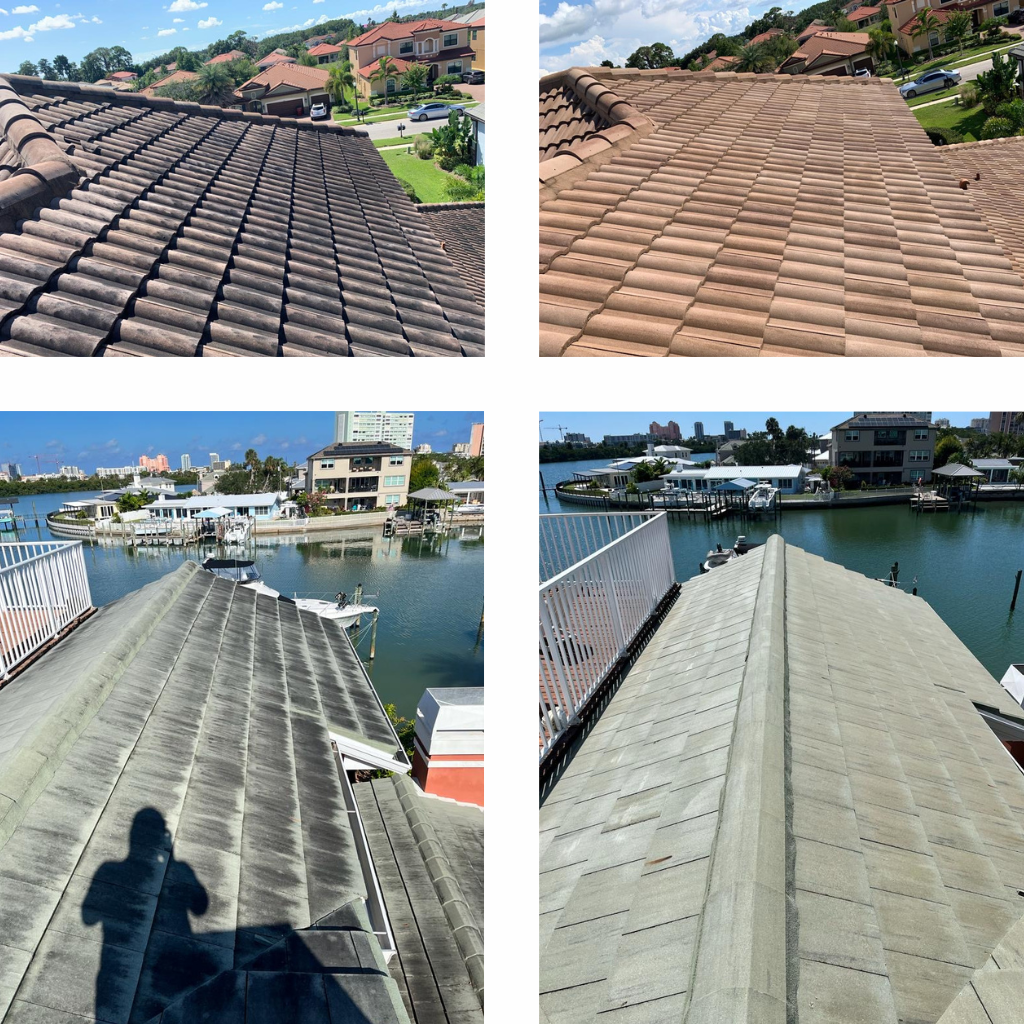 Roof cleaning Tampa Bay soft wash results