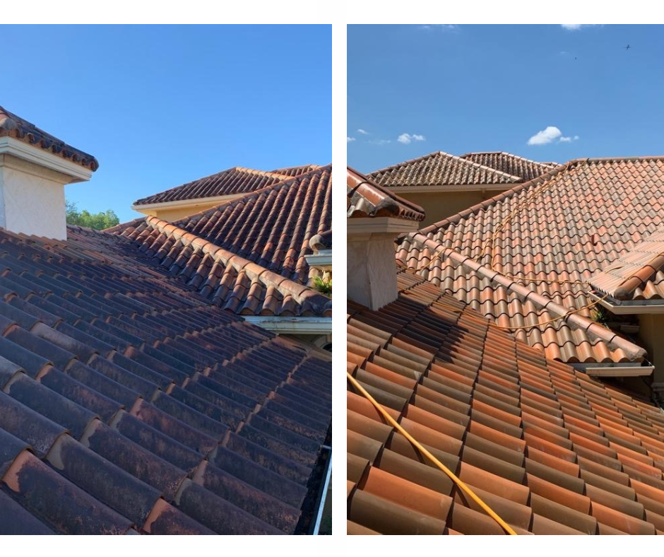Real roof transformation in Tampa