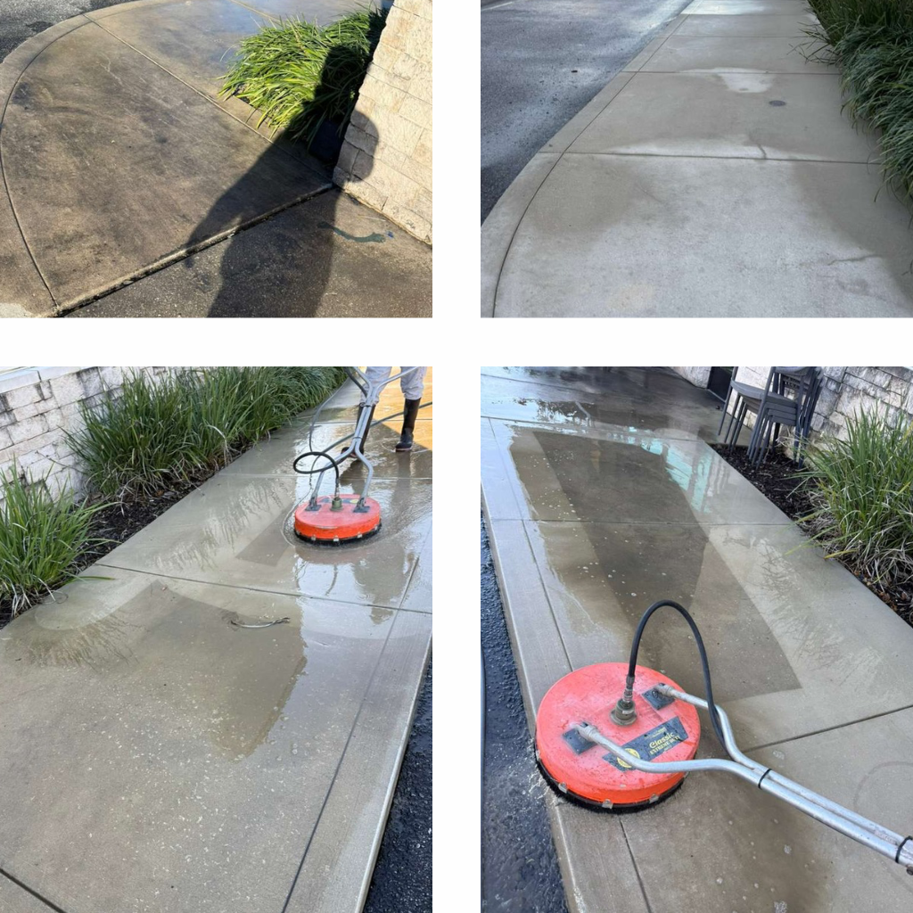 Professional driveway cleaning Tampa Bay concrete surface transformation